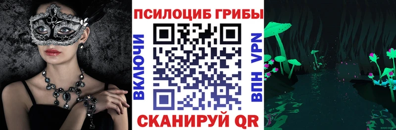 Псилоцибиновые грибы Cubensis  где купить наркотик  Ивдель 